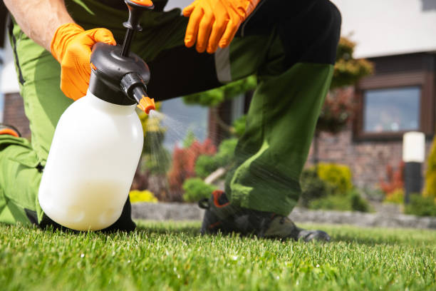 Best Rat Extermination Near Me  in Red Oak, NC