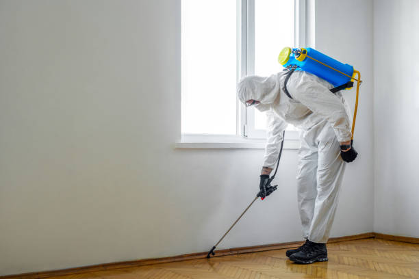Best Mosquito Control Services  in Red Oak, NC