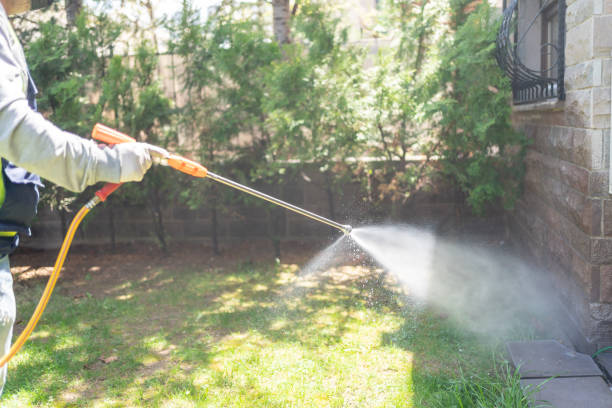 Best Bed Bug Extermination  in Red Oak, NC