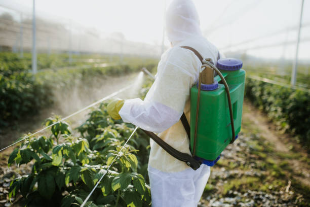 Best Local Pest Control Services  in Red Oak, NC